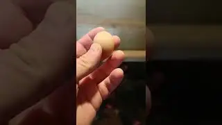 Пришёл поздравить, а пришлось отчитать