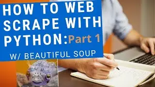 HOW TO WEB SCRAPE: with Python (Beautiful Soup4) with REGEX: PART 1