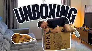 Minha Primeira Cadeira Ergonômica: Unboxing e Montagem da Diana DT3