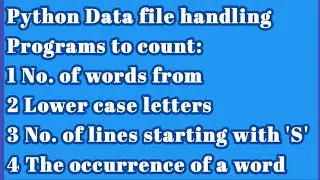 File handling programs in Python | Text file in python class 12 | Computer Science