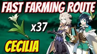 CECILIA 37 Locations FAST FARMING ROUTE | Genshin Impact 2.3