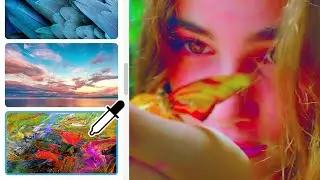 Color Match: Transfer the color and tone of any video or photo.