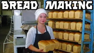 Long Bread Lines or Why Didnt Soviet People Make Their Own Bread?