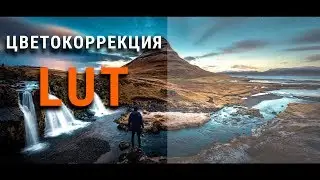 Color CORRECTION VIDEO using LUT! Cine Lut Pack Sony A7iii