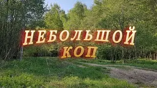 Короткий весенний коп на старой деревне.