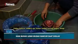 Investigasi Proses Pembuatan Dendeng Ikan Busuk Part 02 
