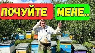 Почуйте Мене!!! 🤔 🐝