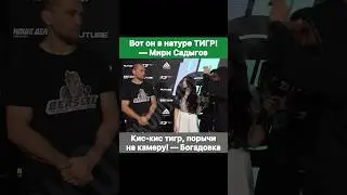 Тигр здесь один! — Мири Садыгов. Богадовка: Кис-кис, порычи тигр. Прикол