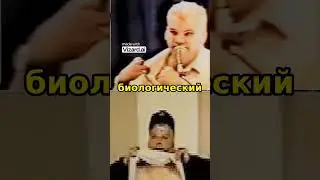 #история