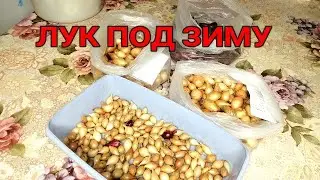 ✅❗️ОСЕННЯЯ ПОСАДКА ЛУКА. ЧТО? КАК? ПОЧЕМУ? Спрашиваете - отвечаю