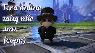 ☯ Tera online гайд маг ☯ актуально 2024 для Menma и Asura ☯