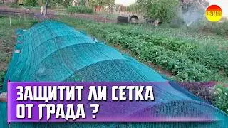 Как спастись от града? Нужна ли вам затеняющая сетка