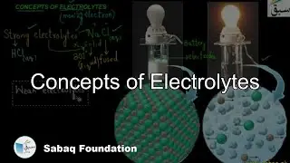 Concepts of Electrolytes, Chemistry Lecture | Sabaq.pk