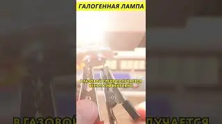 Галогенная лампа @HiDev #электроника