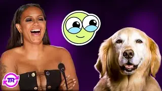 Top 25 CUTEST Animal Acts Ever on Americas Got Talent!