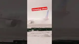 Dubayni suv bosdi #shorts #dubai #dubai2024 #shortsvideo #uzb