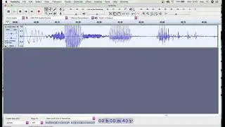 How To RECORD USB MICROPHONE To Audacity