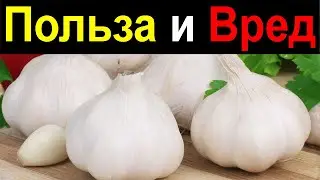 БЕСЦЕННАЯ ПОЛЬЗА ЧЕСНОКА для ОРГАНИЗМА