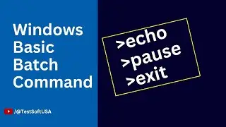 How to execute Basic Batch File Commands Echo, Pause, and Exit?