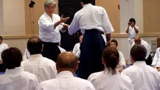 Yamada Sensei Katatetori Nikyo