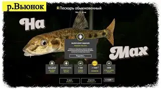 Russian Fishing 4, р. Вьюнок - Пескарь на Мах. Русская рыбалка 4 