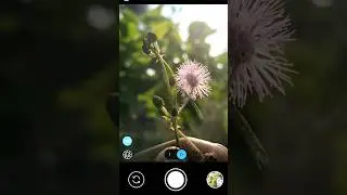Wait For Final Result. LMC 8.4 Macro Config. Best Gcam. 