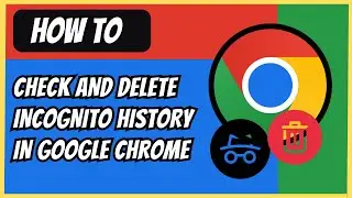 How to Check and Delete Incognito History in Google Chrome - 2024 (Quick Guide)