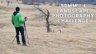 50mm F1.4 Landscape Photography Challenge in the Forest