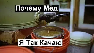 Пасека 