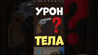 Невероятный урон с ПИТОНА в РАСТ #rust #раст #шортс #shorts