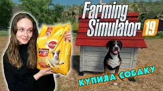 THE FIRST ANIMALS - Farming Simulator 19 MY FIRST CHICKENS