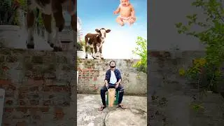 Catching domestic animals - hen, cow, cat & crying babies vs tange tange funny vfx magic video 😂