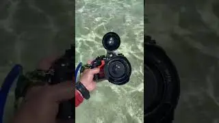 The Nikonos V in its natural habitat.