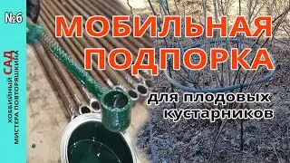 Mobile support made of rebar and pipes for shrubs in the garden. How to protect the berry harvest