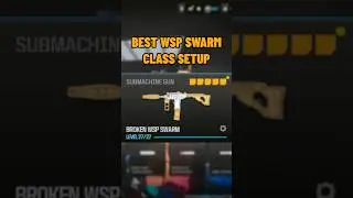 new BROKEN META WSP SWARM SETUP in MW3!