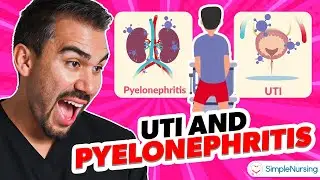 Urinary Tract Infection (UTI) & Pyelonephritis Treatment for Nursing NCLEX RN & LPN