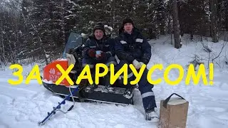 В поисках Хариуса! Зимняя рыбалка в удовольствие на малой Уральской реке!