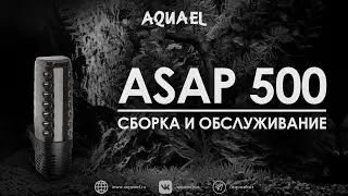 Сборка и обслуживание фильтра AQUAEL ASAP 500