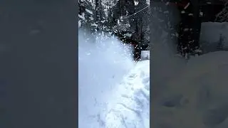 Каждое утро после ночного снегопада ☺️