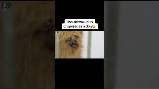 This skinwalker is disguised as a dog😳 