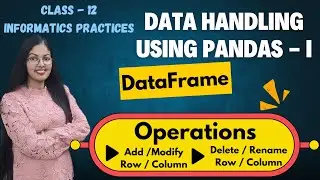 Various Operations on DataFrame  | Add , Modify , Delete , Rename Rows and Columns | CBSE Class 12