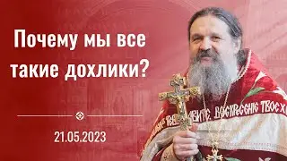 «Почему мы все такие дохлики?». Проповедь о. Андрея Лемешонка 21.05.2023