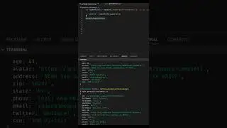 Generating Random Customer Profiles with Javascript. 🤩🤩🤩  #shorts
