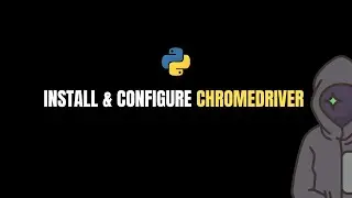 Install & configure Chromedriver with Python Selenium | 2024