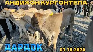 АНДИЖОН КУРГОНТЕПА ДАРДОК МОЛ КУЙ НАРХЛАРИ 01.10.2024