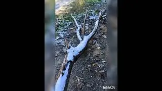 Тур в Мамисонское ущелье из кмв.