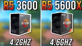 Ryzen 5 3600 vs Ryzen 5 5600X - Big Difference?