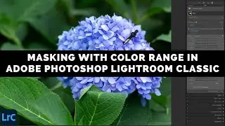 Masking With Color Range In Adobe Photoshop Lightroom Classic