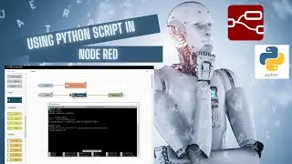 How to use Python Code in Node Red (Pythonshell Node)