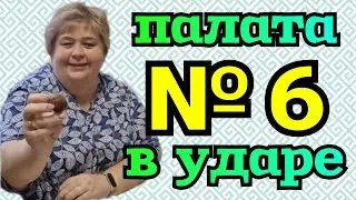 Ольга Уралочка live /Палата №6 в ударе /Обзор Влогов /Уралочка и Сафар /